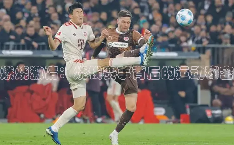 EON体育4