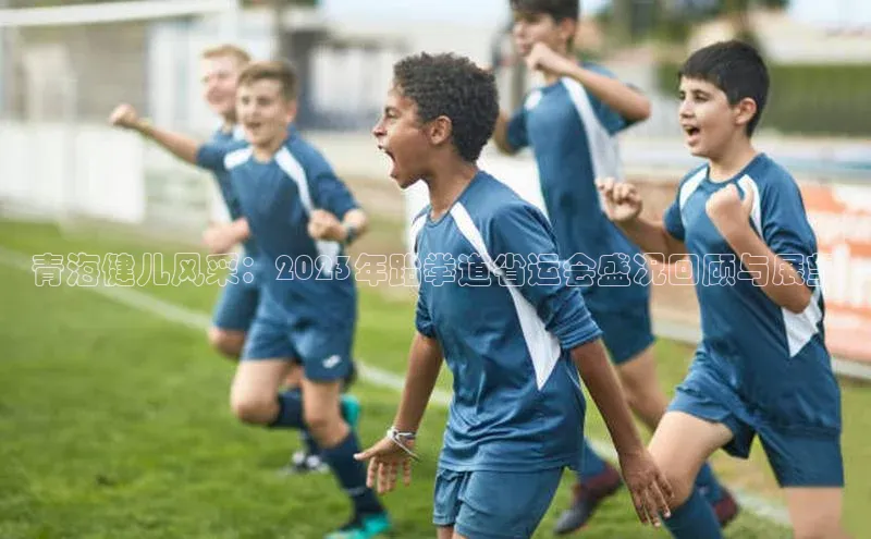 青海健儿风采：2023年跆拳道省运会盛况回顾与展望